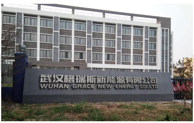 Κίνα WUHAN GRACE NEW ENERGY CO., LTD. Σχεδιάγραμμα επιχείρησης 